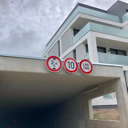 Viva A41